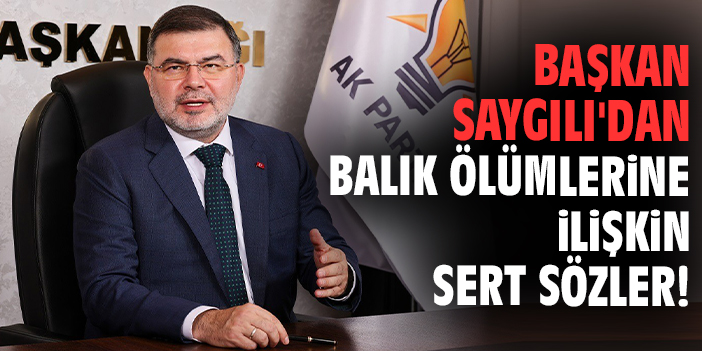 Başkan Saygılı'dan balık ölümlerine ilişkin sert sözler!