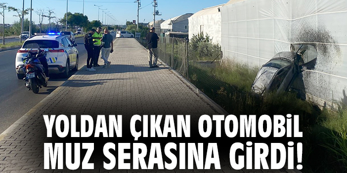 Yoldan çıkan otomobil muz serasına girdi!