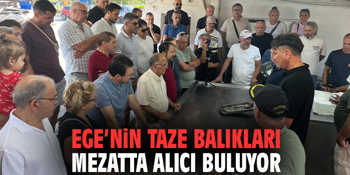 Ege'nin Taze Balıkları Mezatta Alıcı Buluyor