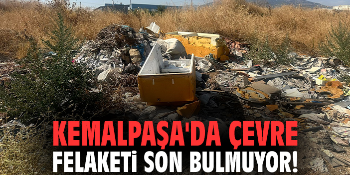 Kemalpaşa'da çevre felaketi son bulmuyor!
