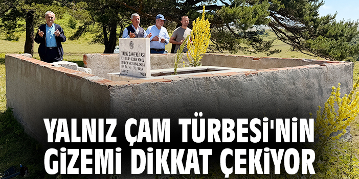 Yalnız Çam Türbesi'nin gizemi dikkat çekiyor