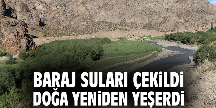 Baraj suları çekildi doğa yeniden yeşerdi