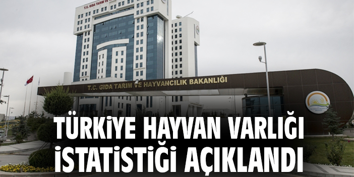 Türkiye Hayvan Varlığı İstatistiği açıklandı