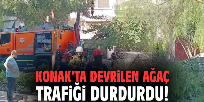 Konak’ta devrilen ağaç trafiği durdurdu!