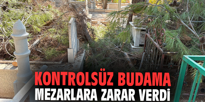 Kontrolsüz budama mezarları zarar verdi