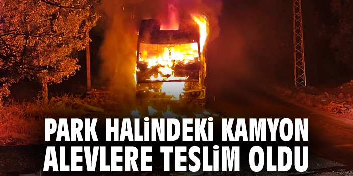 Park halindeki kamyon alevlere teslim oldu