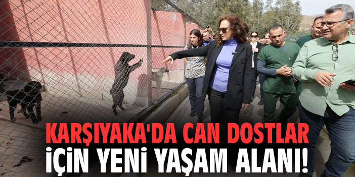 Karşıyaka'da can dostlar için yeni yaşam alanı!