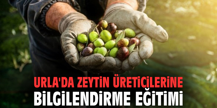 Urla'da zeytin üreticilerine bilgilendirme eğitimi