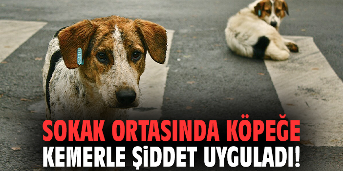 Sokak ortasında köpeğe kemerle şiddet uyguladı!