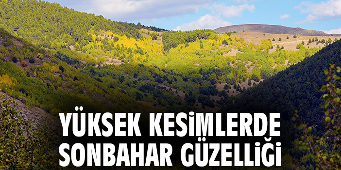 Yüksek kesimlerde sonbahar güzelliği