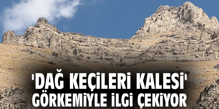 'Dağ Keçileri Kalesi' görkemiyle ilgi çekiyor