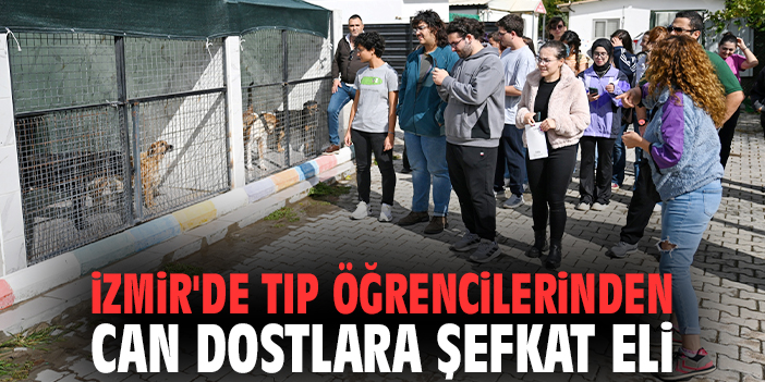 İzmir'de tıp öğrencilerinden can dostlara şefkat eli