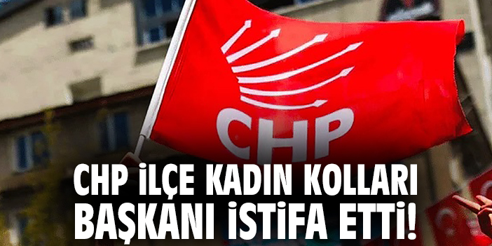 CHP İlçe Kadın Kolları Başkanı istifa etti!