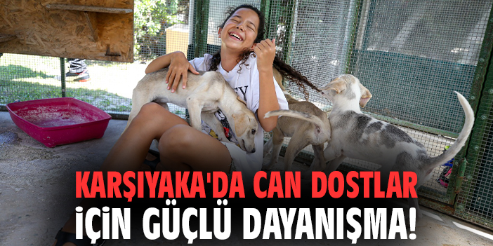 Karşıyaka'da can dostlar için güçlü dayanışma!