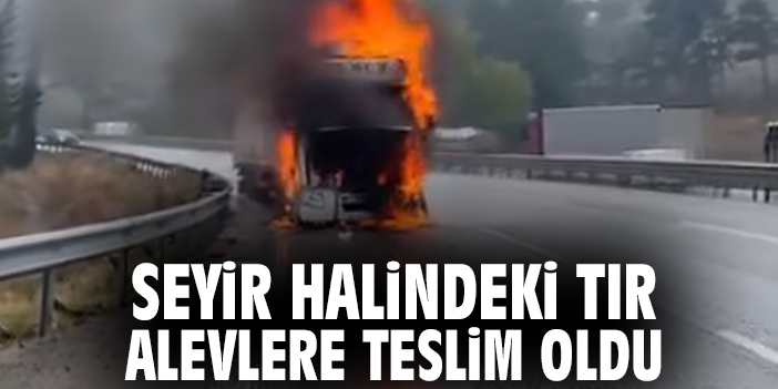 Seyir halindeki tır alevlere teslim oldu