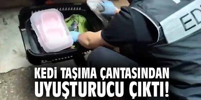 Kedi taşıma çantasından uyuşturucu çıktı!