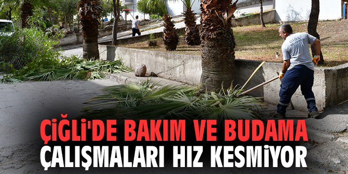 Çiğli'de bakım ve budama çalışmaları hız kesmeden sürüyor