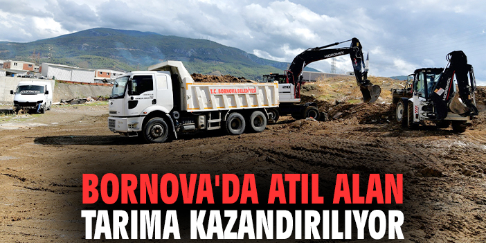 Bornova'da atıl alan tarıma kazandırılıyor