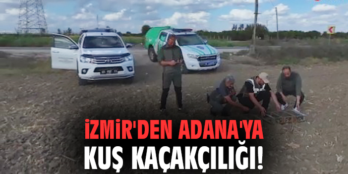 İzmir'den Adana'ya kuş kaçakçılığı!