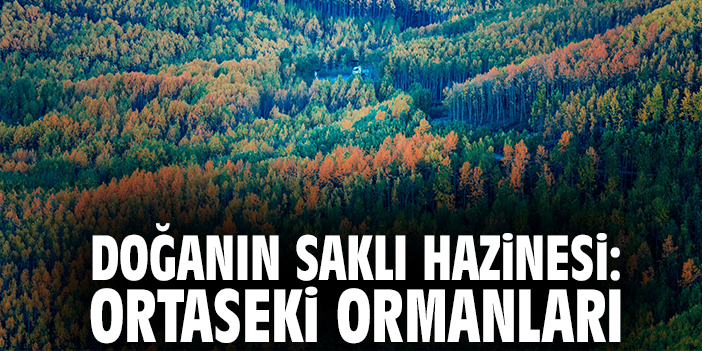 Doğanın saklı hazinesi: Ortaseki Ormanları