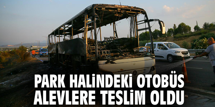 Park halindeki otobüs alevlere teslim oldu