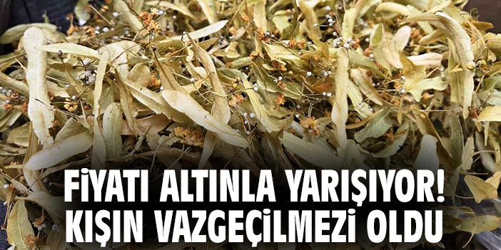 Fiyatı Altınla Yarışıyor! Kışın Vazgeçilmezi Oldu