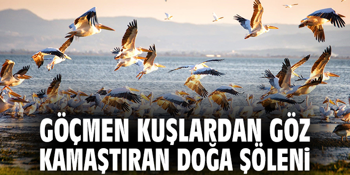 Göçmen kuşlardan göz kamaştıran doğa şöleni