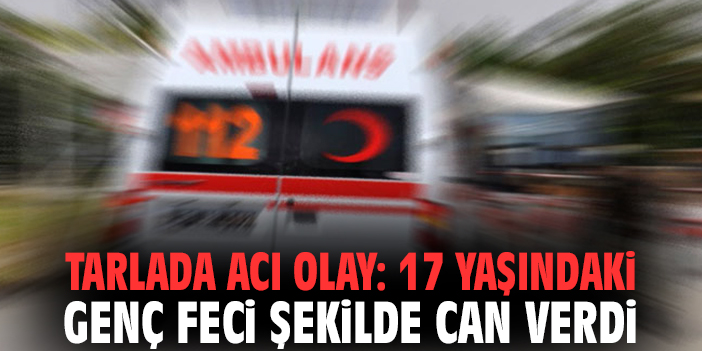 Tarlada acı olay: 17 yaşındaki genç feci şekilde can verdi
