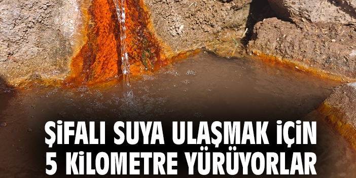 Şifalı suya ulaşmak için 5 kilometre yürüyorlar