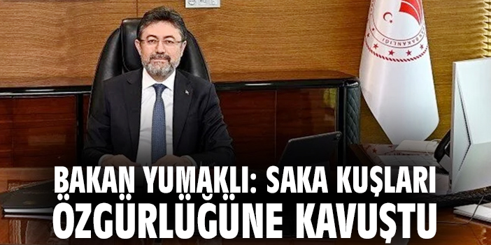 Bakan Yumaklı: Saka kuşları özgürlüğüne kavuştu