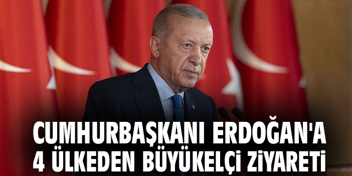 Cumhurbaşkanı Erdoğan'a 4 ülkeden büyükelçi ziyareti