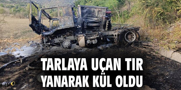 Tarlaya uçan tır yanarak kül oldu