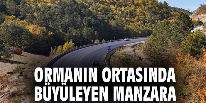 Ormanın ortasında büyüleyen manzara