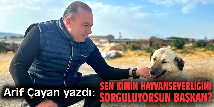 Sen kimin hayvanseverliğini sorguluyorsun başkan?