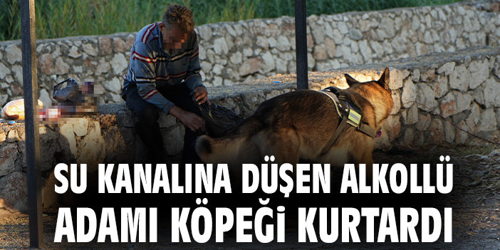 Su kanalına düşen alkollü adamı köpeği kurtardı
