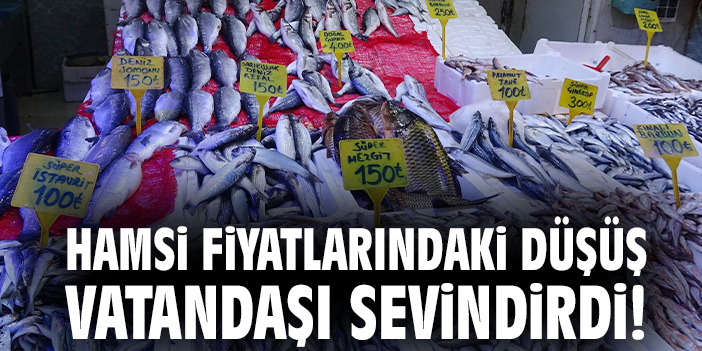 Hamsi fiyatlarındaki düşüş vatandaşı sevindirdi!