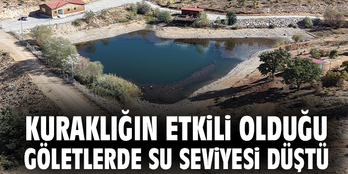 Kuraklığın etkili olduğu göletlerde su seviyesi düştü
