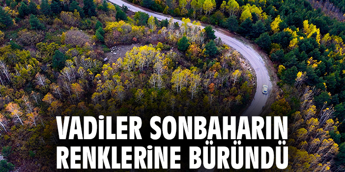 Vadiler sonbaharın renklerine büründü