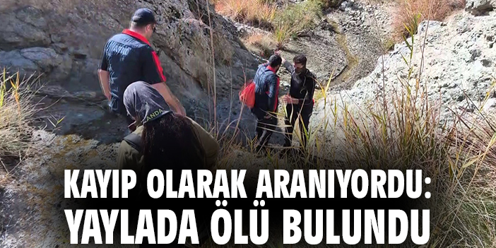 Kayıp olarak aranıyordu: Yaylada ölü bulundu