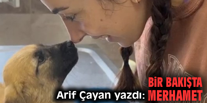 Bir bakışta merhamet