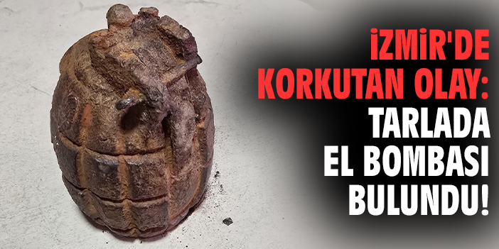 İzmir'de korkutan olay: Tarlada el bombası bulundu!