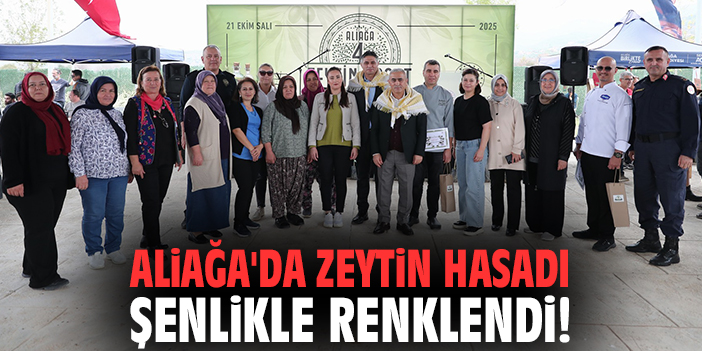 Aliağa'da zeytin hasadı şenlikle renklendi!