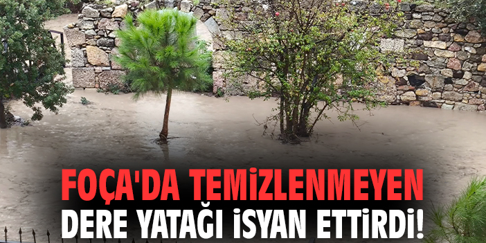 Foça'da temizlenmeyen dere yatağı isyan ettirdi!