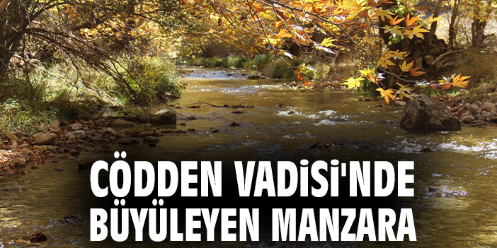 Cödden Vadisi'nde büyüleyen manzara