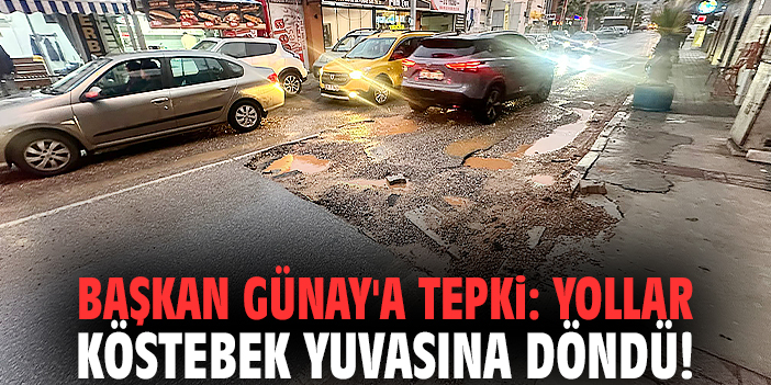 Başkan Günay'a tepki: Yollar köstebek yuvasına döndü!