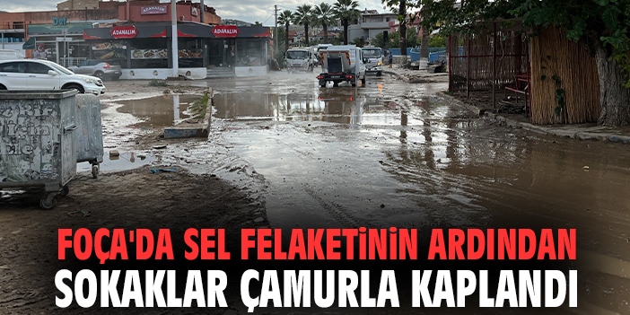 Foça'da sel felaketinin ardından sokaklar çamurla kaplandı