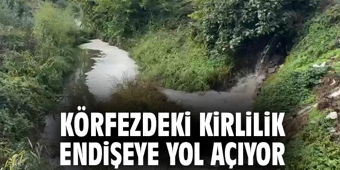 Körfezdeki kirlilik endişeye yol açıyor