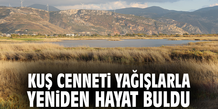 Kuş Cenneti yağışlarla yeniden hayat buldu