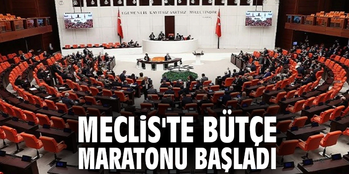 Meclis'te bütçe maratonu başladı