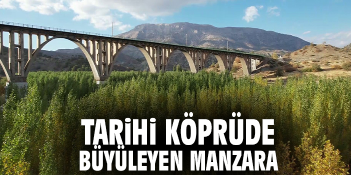 Tarihi köprüde büyüleyen manzara